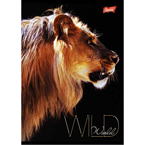 Brulion w półtwardej oprawie A5, 96 k linia Unipap