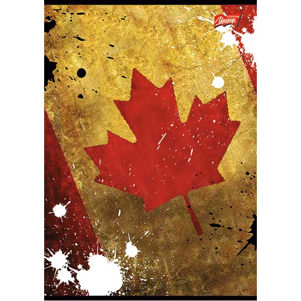 Brulion w twardej oprawie A5, 96 k linia Unipap