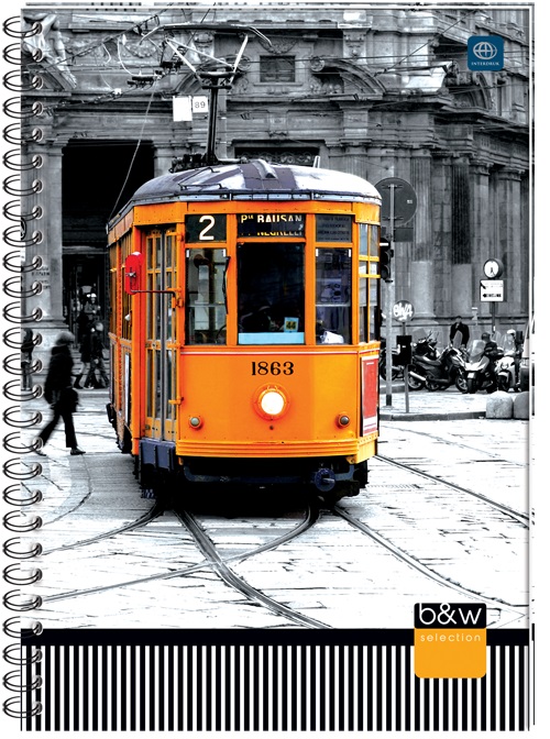 Kołobrulion B5 160 kratka z kolorowymi marginesami INTERDRUK