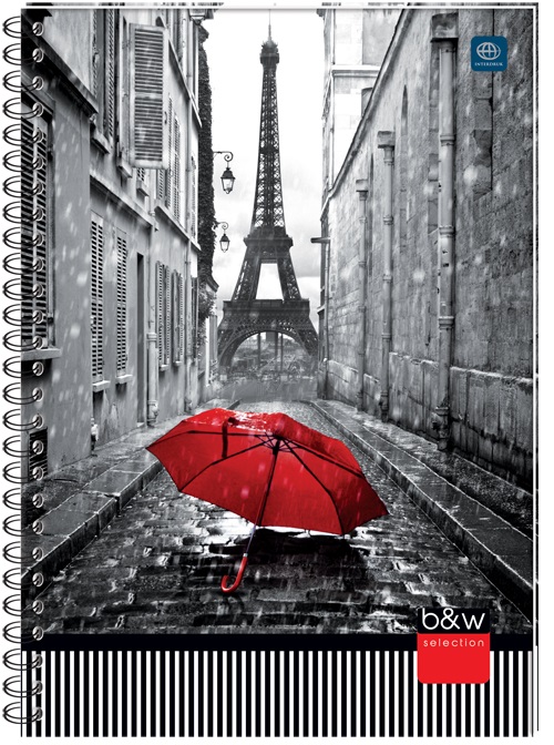 Kołobrulion A4 160 kratka z kolorowymi marginesami INTERDRUK