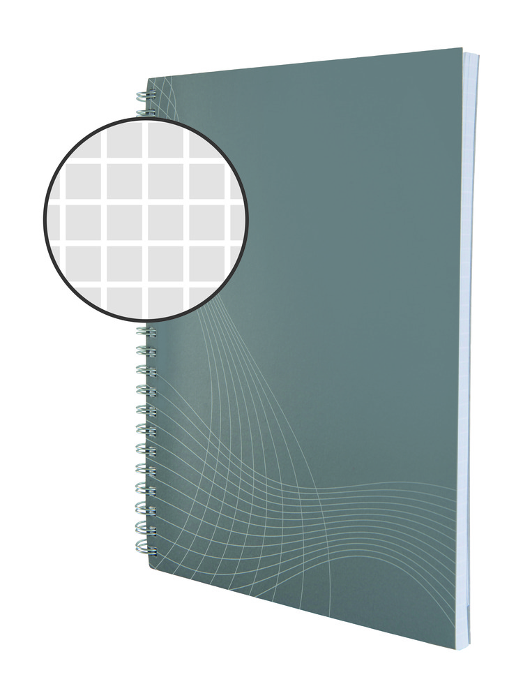 Kołonotatnik Notizio; oprawa kartonowa; jasnoszary; kratka 80 kartek; linijka d