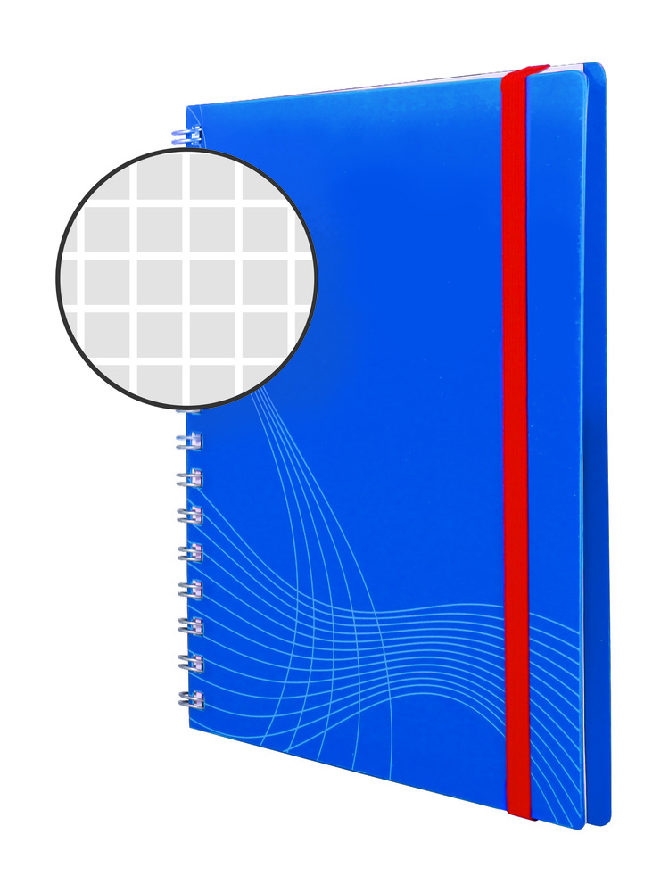 Kołonotatnik Notizio; oprawa - tworzywo sztuczne kratka; 90 kartek; elastyczna
