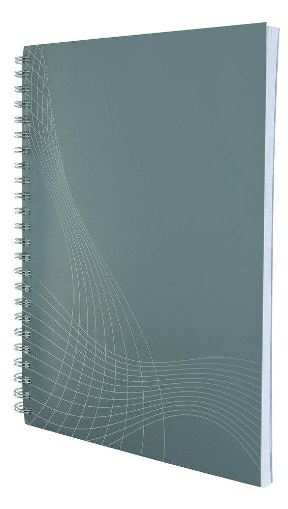Kołonotatnik Notizio; oprawa kartonowa; jasnoszary; kratka 80 kartek; linijka d